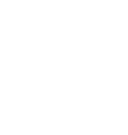 cw-mark-white